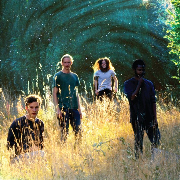 MichaelAGrammarBestCreditTomStoke